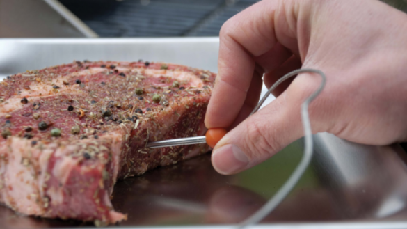 hand inserting meat thermometer into side of steak